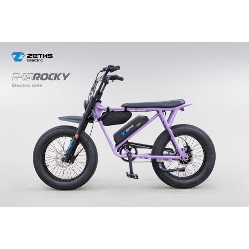 China Ebike powerful electric cycles Rocky Manufactory