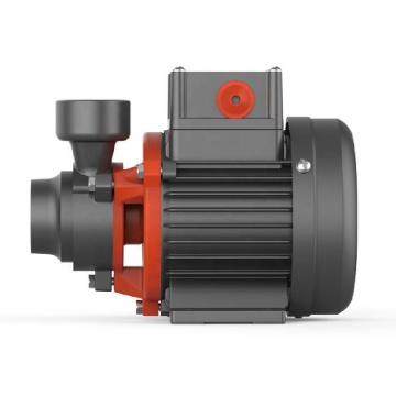 Leo Electric Household Water Transferpumpe