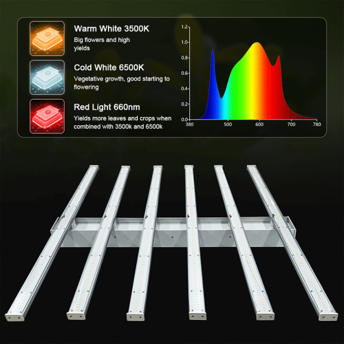 Thailand Hemp Plant Growth Led Grow Light