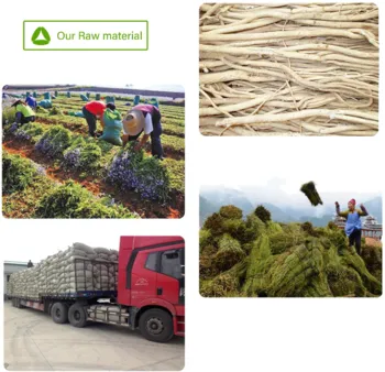 Black Pepper Extract Tetrahydropiperine 98% Powder