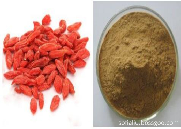 goji powder (12)