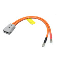 Kabel wtyczki litowej pojazdu elektrycznego RV