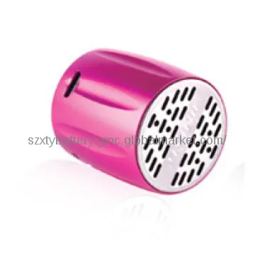 Professional speaker in China