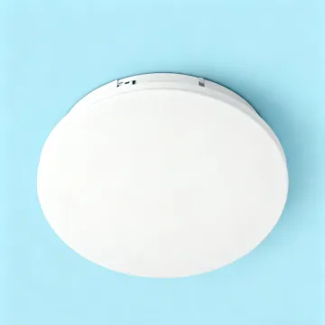 Elegant LED Ceiling Fixture for Bathrooms