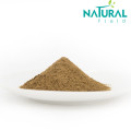 Ginkgo Biloba Leaf Extract Powder Cosmetic raw material Ginkgo Biloba leaf Extract Powder Manufactory