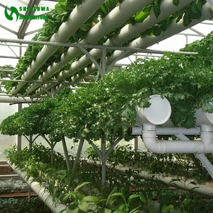 Vertical NFT PVC Pipe Commercial Hydroponics Greenhouse