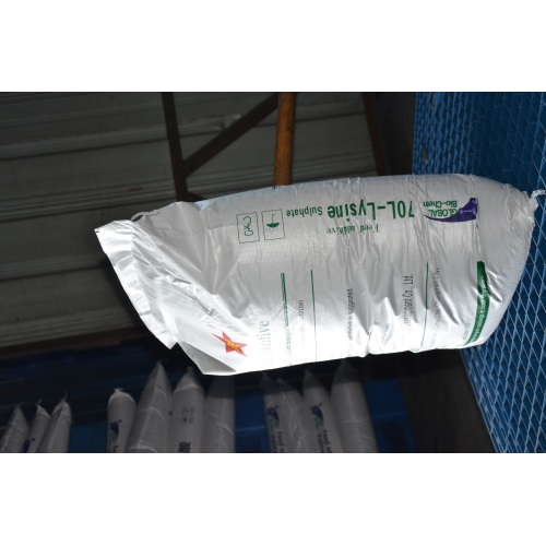 Mejor suplemento de lysina