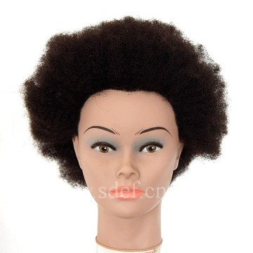 Female Mannequin Head (EF-T012)