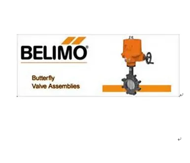 Belimo butterfly valves