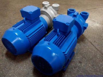 0.8Mpa 1.1 kw Oil-free Vacuum Pump