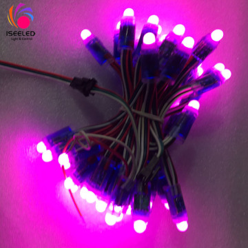 DC5V DC12V RGB WS2811 ไฟสตริง LED คริสต์มาสคริสต์มาส