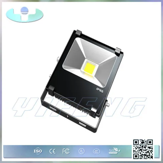 FL-A2 Factory supply good reputation led flood light