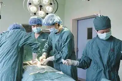 Stem Cell Transplant For Kidney Disease