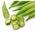 Pure Okra Extract Powder Gumbo Extract