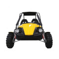 gasoline beach buggy 250cc 2 seater go karts