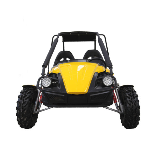 gasoline beach buggy 250cc 2 seater adult quad