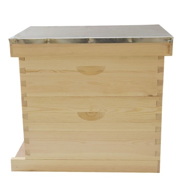 Lang's Beehive: Comprehensive 10-Frame Bee Hive Box Set for Beekeeping Tools