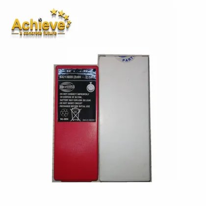 Putzmeister Remote Control HBC Battery