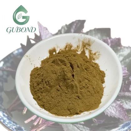 Perilla Extract Powder for Dietary Supplements