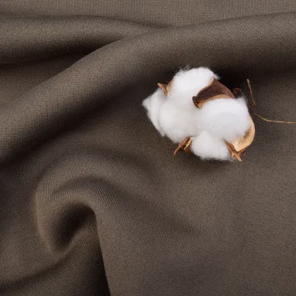 New Arrival DWR Waterproof Polyester French Terry Fleece Knitted Fabric for Garment