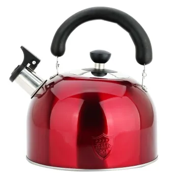 2024 New Design ODM/OEM 3.0/4.0L Whistling Tea Kettle with 304 Stainless Steel and Bakelite Handle