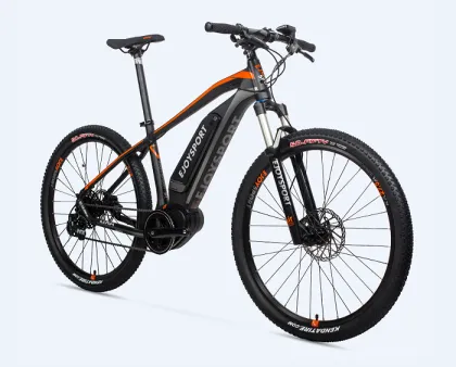 Customized Electric Cycle With Gear