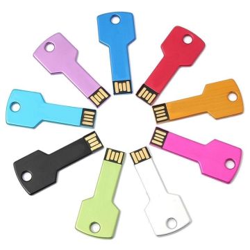 Aangepaste metalen sleutelvorm USB Flash Drive - Promotioneel geschenk met logo