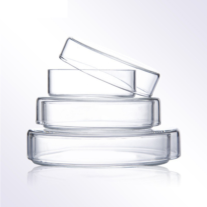 Worner Lab Borosilicate Glass Petri Dish, 100mm, With Lid, High Quality Worner Lab Borosilicate