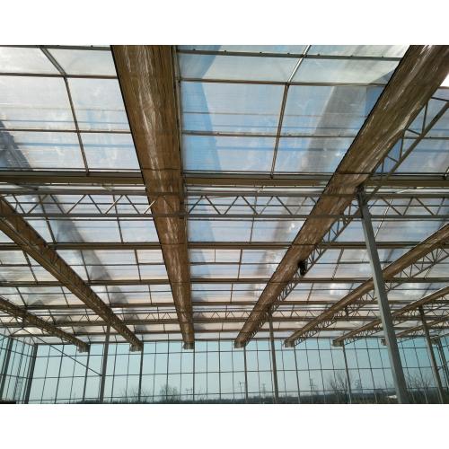 Polycarbonate Sheet & Glass Greenhouse