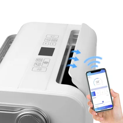 Deye DYD-M30A New Design Air Purifier and Dehumidifier