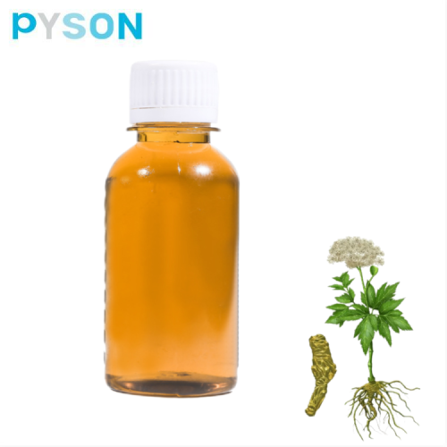 Angelica Extract Angelica sinensis oil