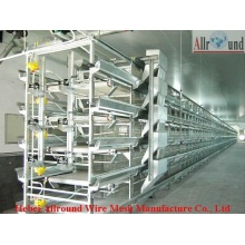 hot sale broiler rearing system from China