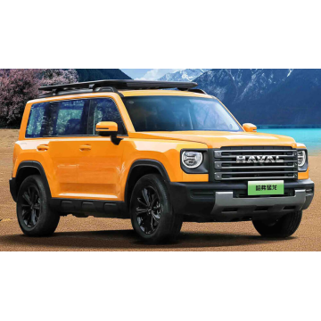 2024 Haval Raptor HI4 102 Pro