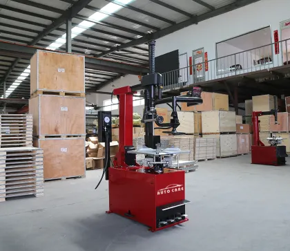 Luxury Tire Machine Changers with Help Arm for Sale