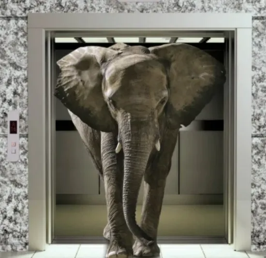 Huge Good Quality Cargo Lift Freight Lift