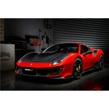 Darwinpro Pista Style Skirts Fibra di carbonio parziale per Ferrari F488 488 GTB Spyder