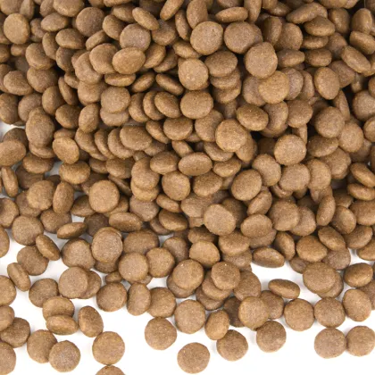 Enhanced Pitbull Dog Food: Boosting Muscle Strength & Vitality with High Protein and Energy