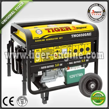 Gasoline generator sets TNG6500AE