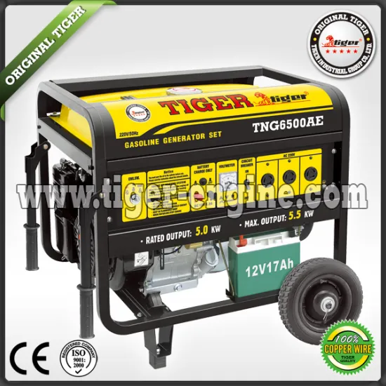 Gasoline generator sets TNG6500AE