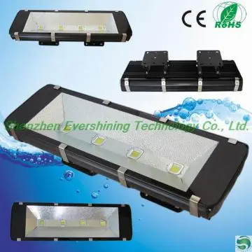 outdoor AC110 high power 300w projectors flood light rgb