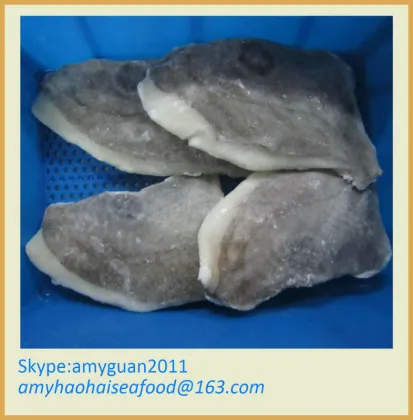 IQF Frozen John Dory fish fillet