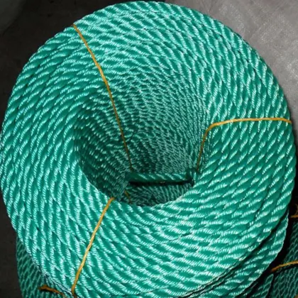 PP PE Qualified Fishing Nets and Ropes with Floats