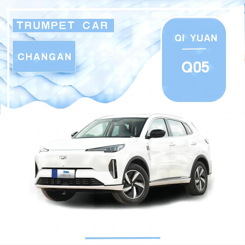 Changan Qiyuan Q05 Ediția pilot