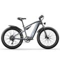 MX05 Electric Fat Bike