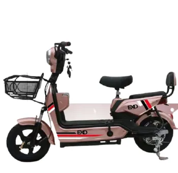 Hot Sale Electric Bike Kit for Adults - Easy Ride Solution