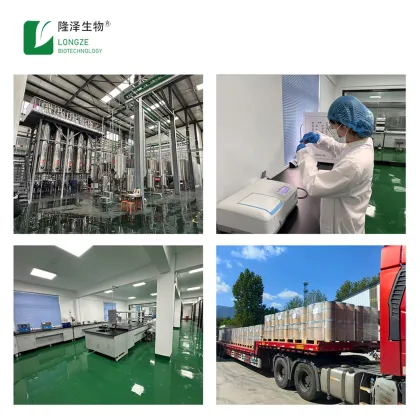 Wholesale Barleygrass Juice Powder Organic Concentrate Barley Grass Powder