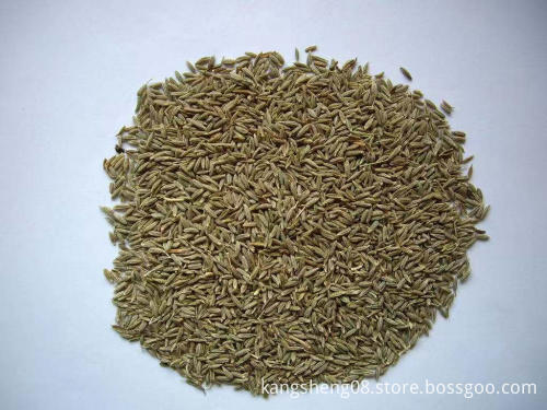 Transseksual porno Mast ayolning ogziga surat qoydim.