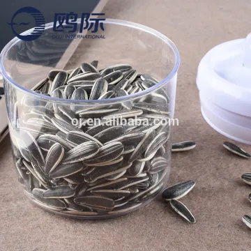 New crop big size sunflower seed