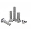 Stainless Steel carriage bolt screw