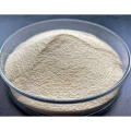 Natural Oyster Peptide Powder for Muscle Recovery and Growth